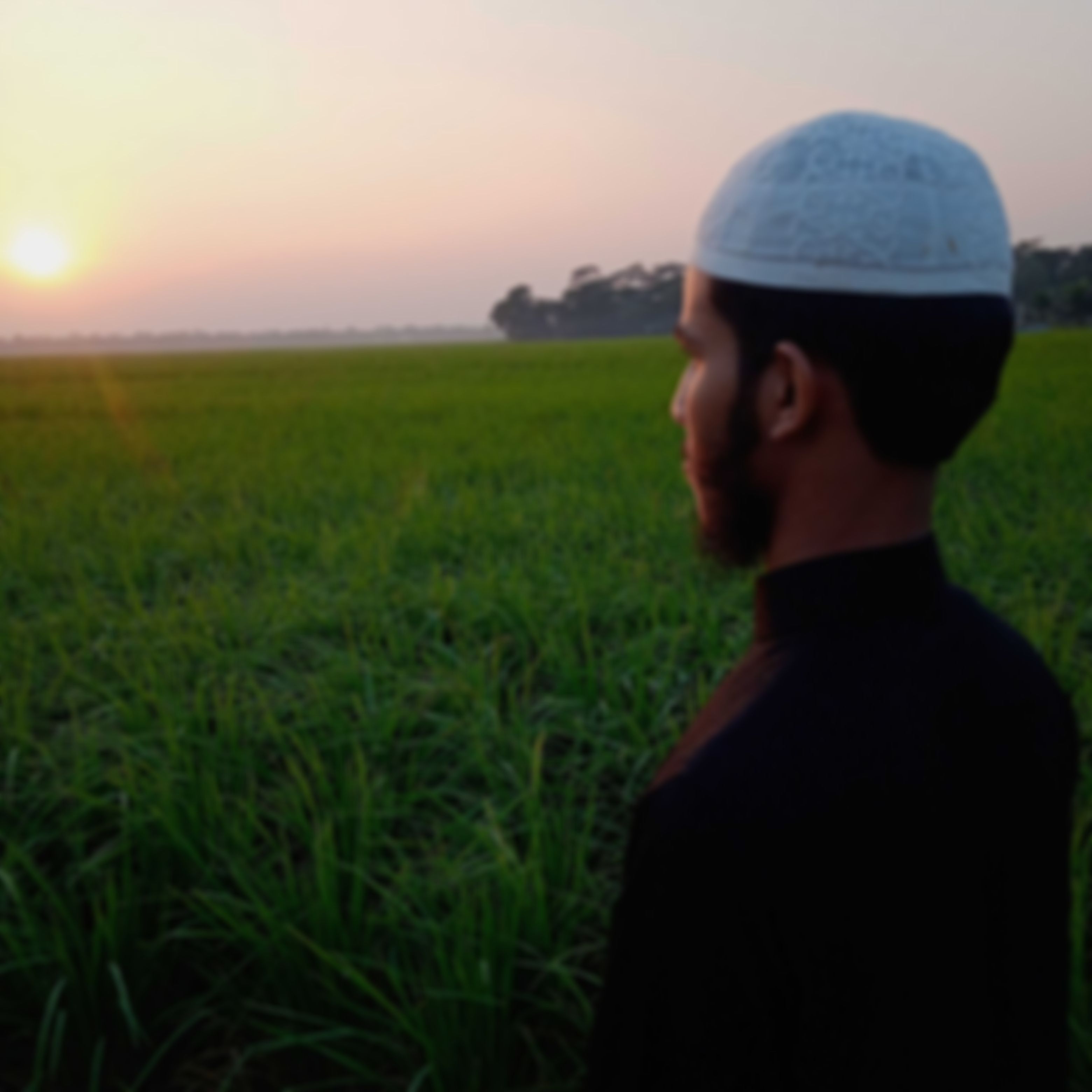 হাফেজ হাবিবুর রহমান   এর ছবি