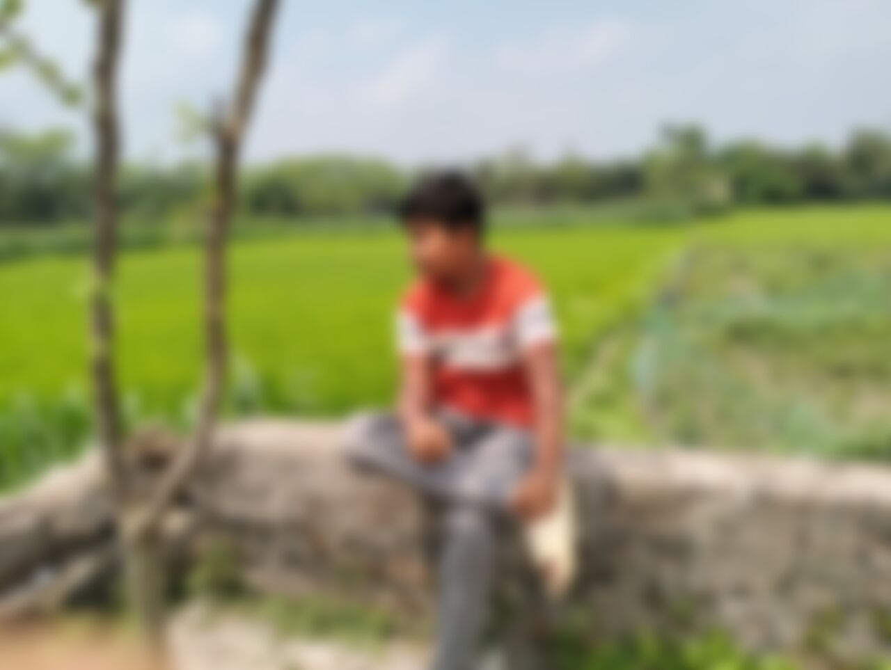 ABIR এর ছবি