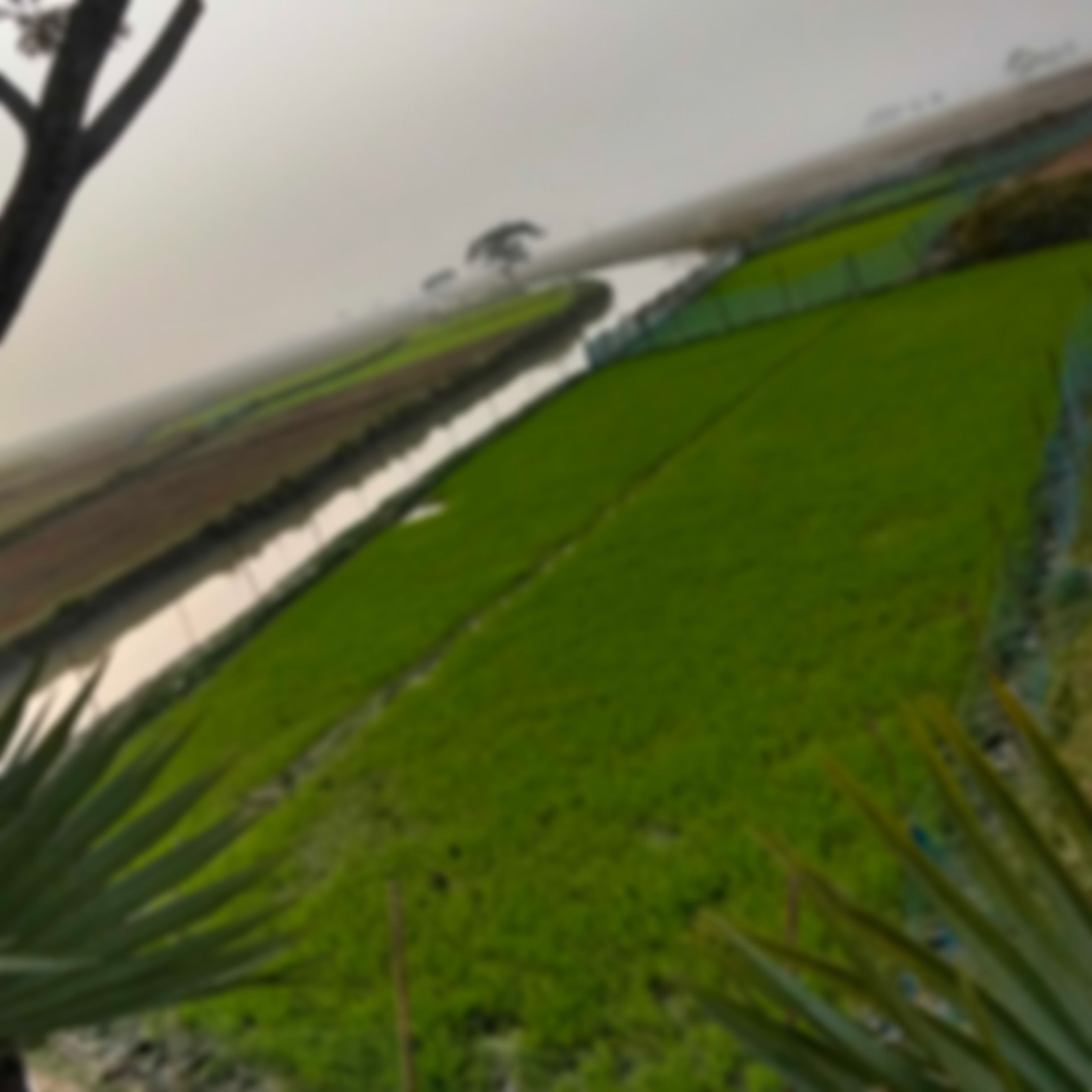 ইসমাইল হোসেন  এর ছবি