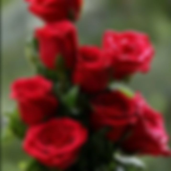 মো নাহিদ হাসান  এর ছবি