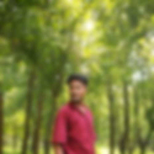 মোঃ শাহিন সরদার এর ছবি