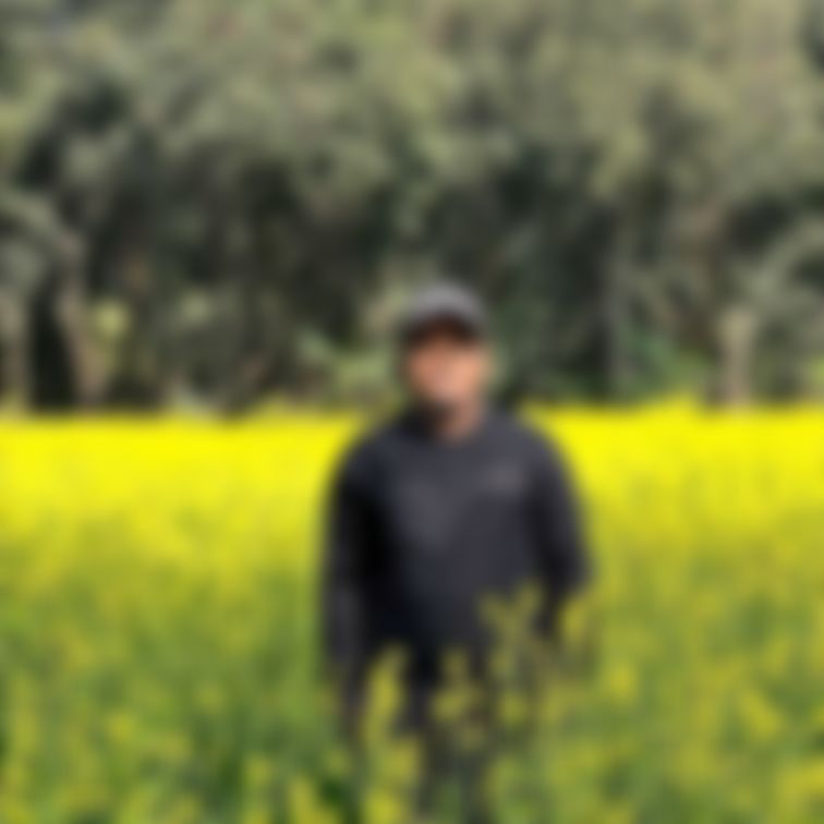 মোঃ সাগর মোল্লা  এর ছবি