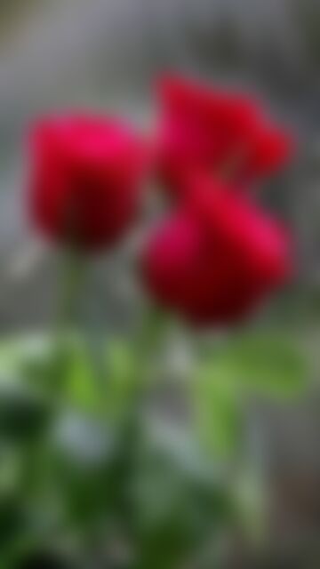 Akash এর ছবি