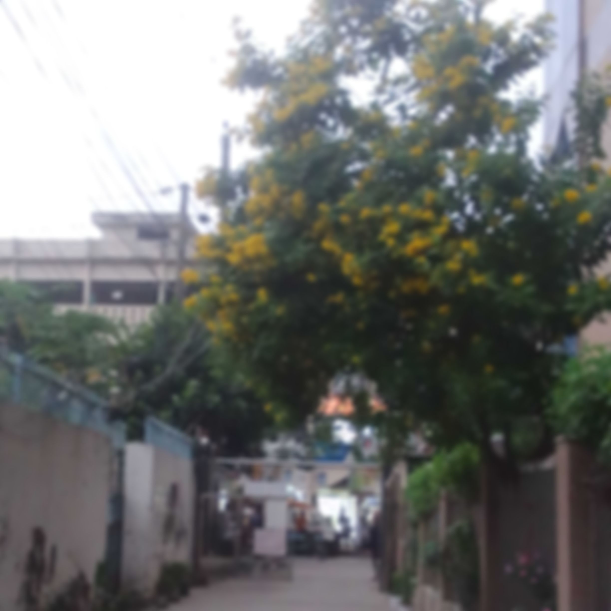 আশরাফুল  এর ছবি