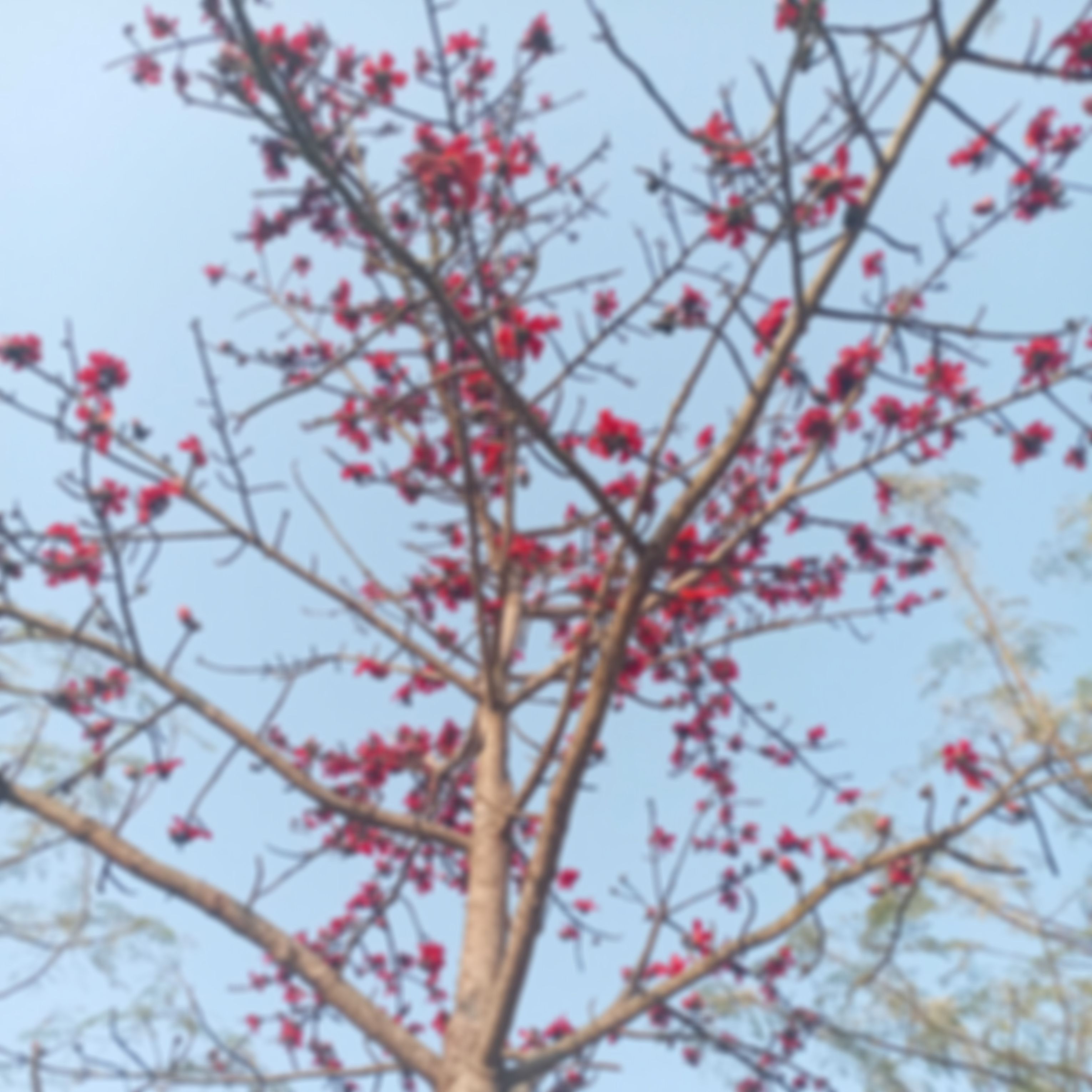 Enam এর ছবি