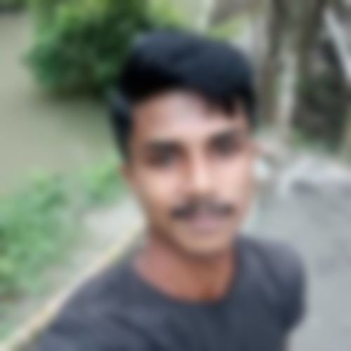 প্রতাপ হালদার এর ছবি