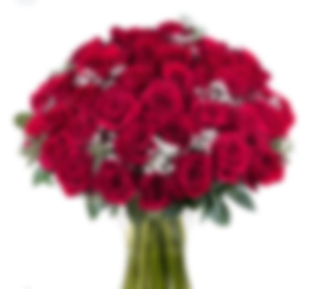 Rakib Sikder এর ছবি