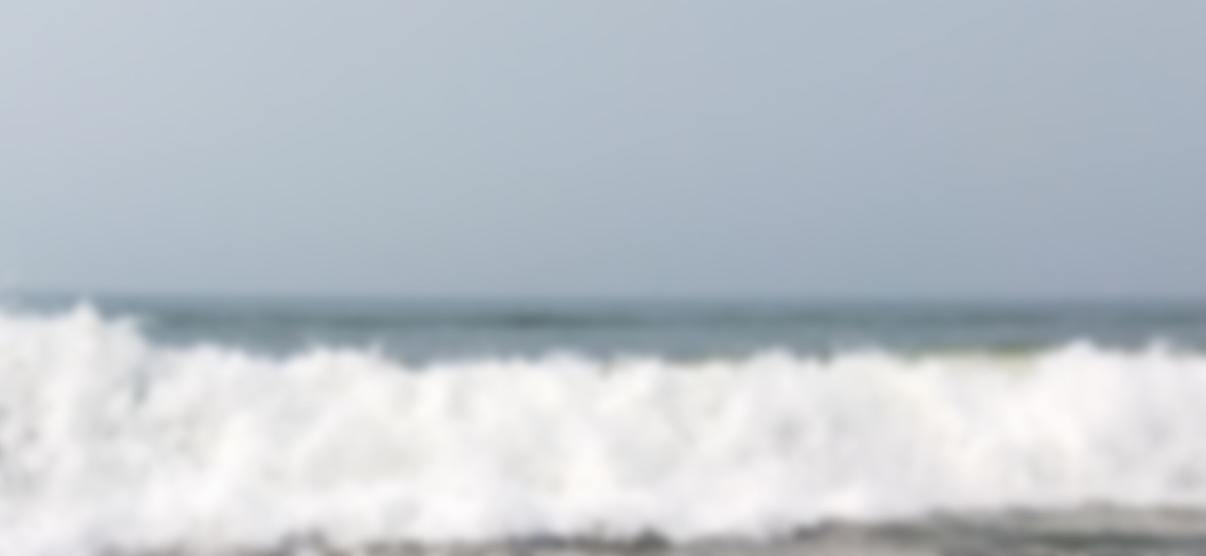 তোহিদ  এর ছবি