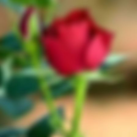 Sanoar এর ছবি