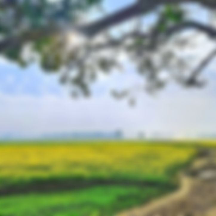 Ariyan Akash  এর ছবি