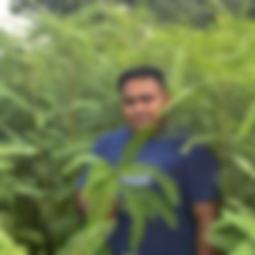 এমরান হোসেন এর ছবি