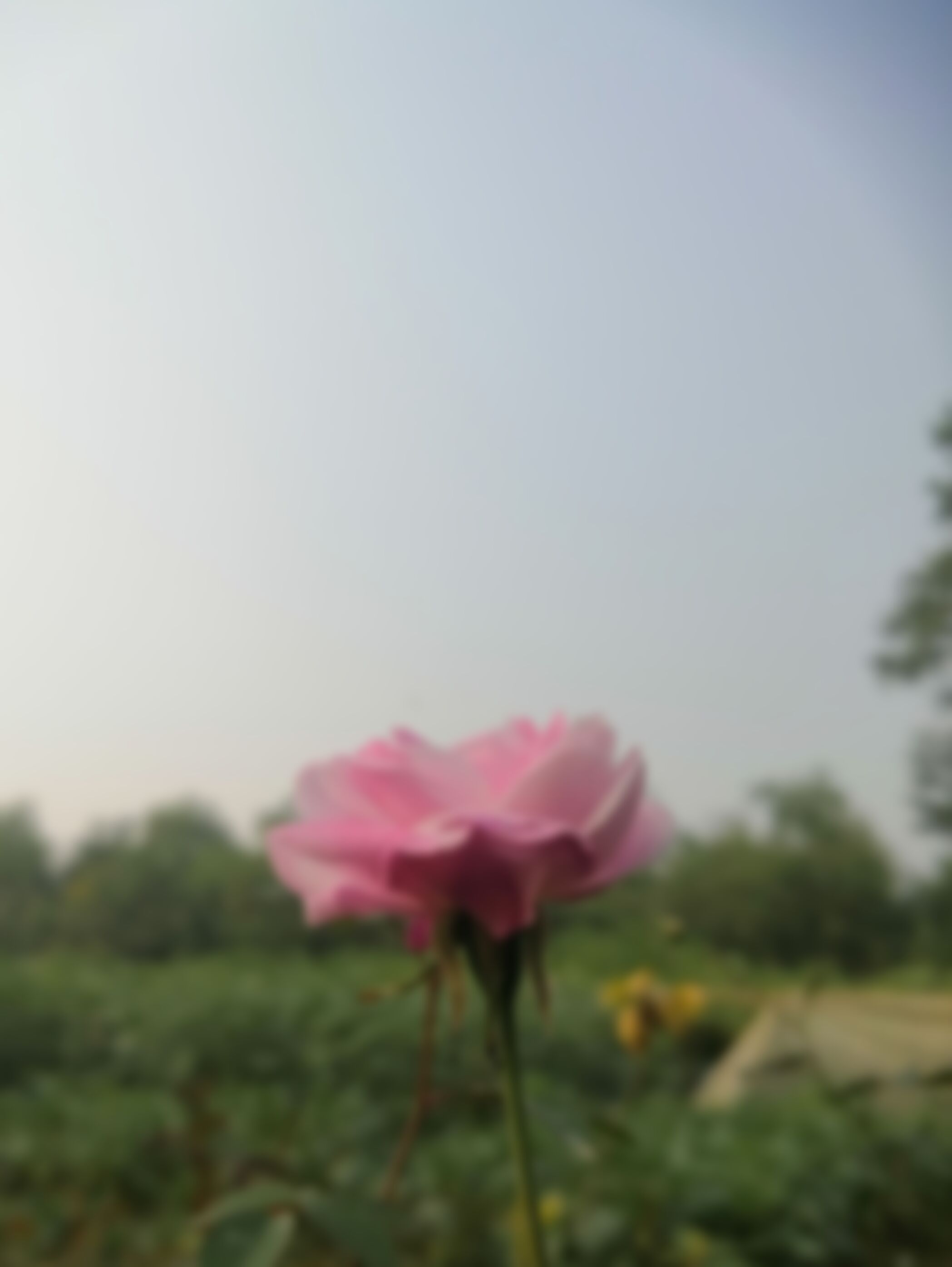 md sufian এর ছবি