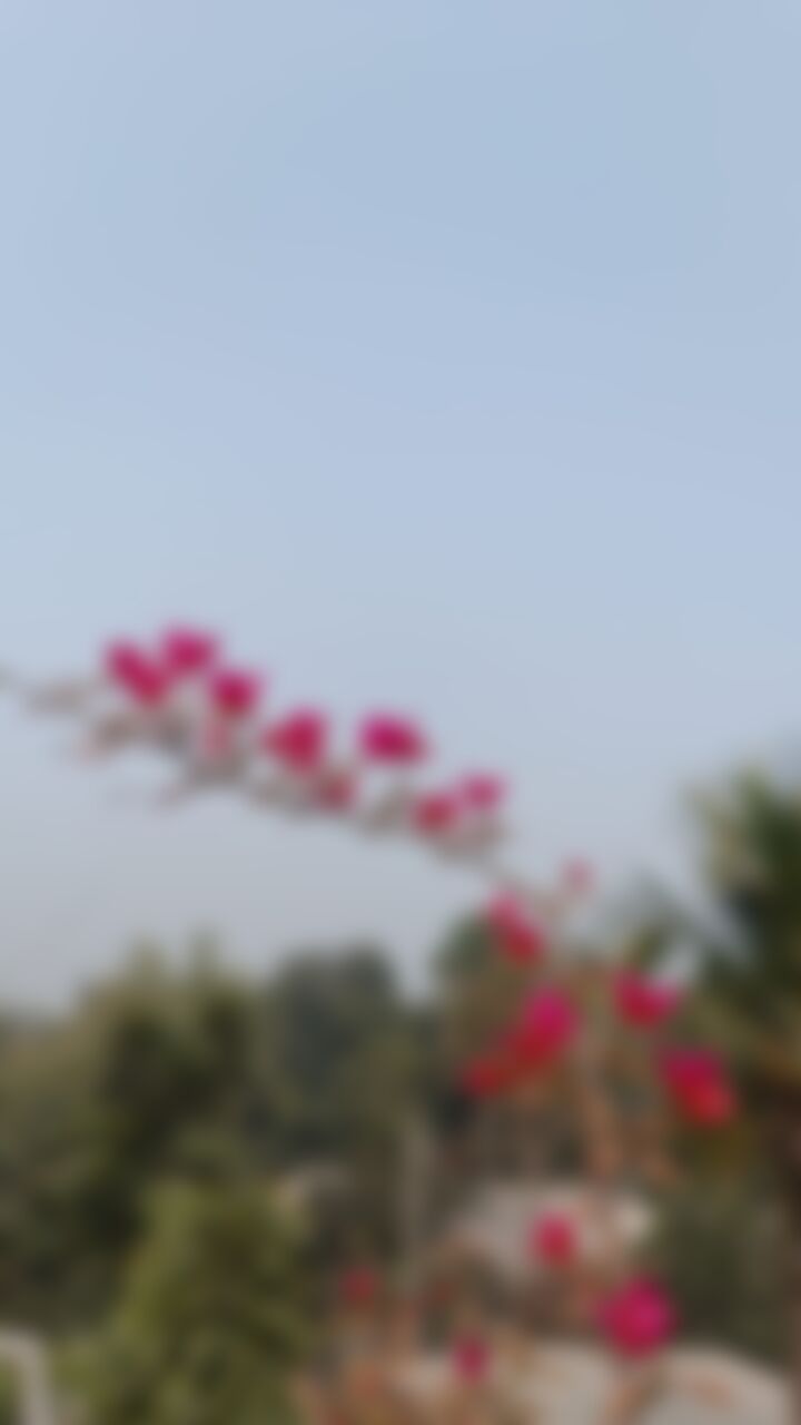 Dristi aktar এর ছবি