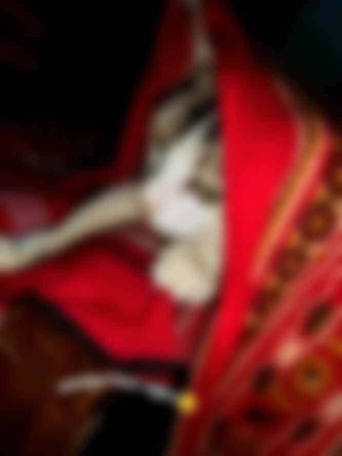বা্ঁবা্ঁর্ঁ রা্ঁজ্ঁক্ঁন্যা্ঁ এর ছবি
