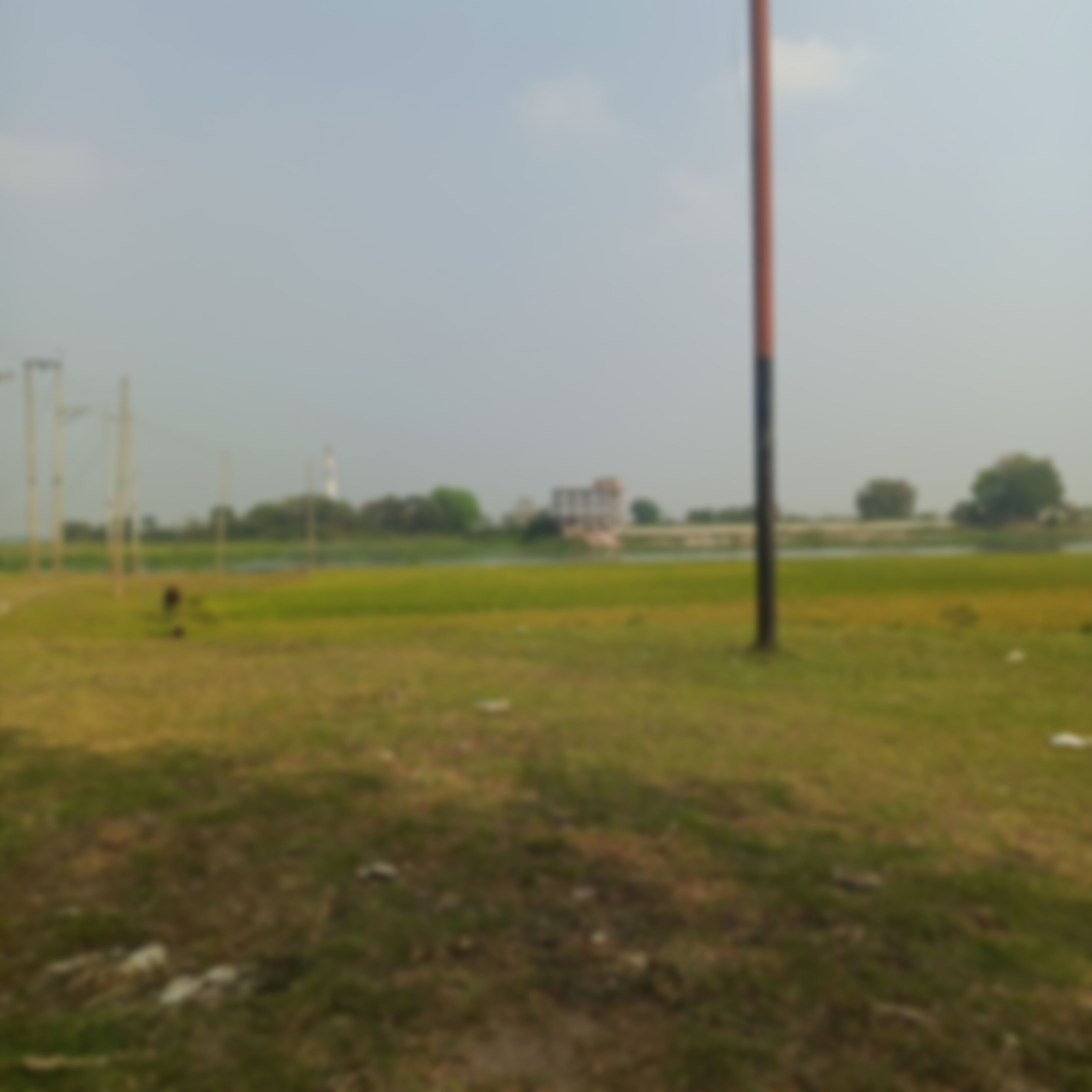 সুমন মোল্লা  এর ছবি