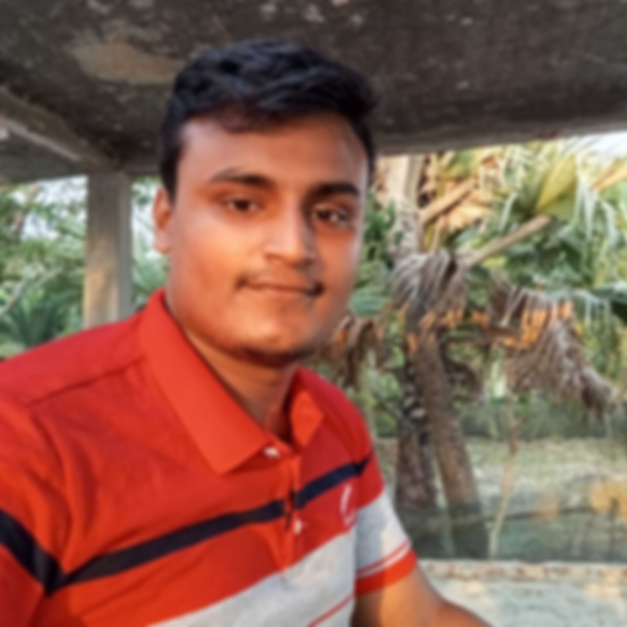 Zisun hazi এর ছবি