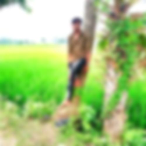 মোঃ সোহাগ সরদার এর ছবি