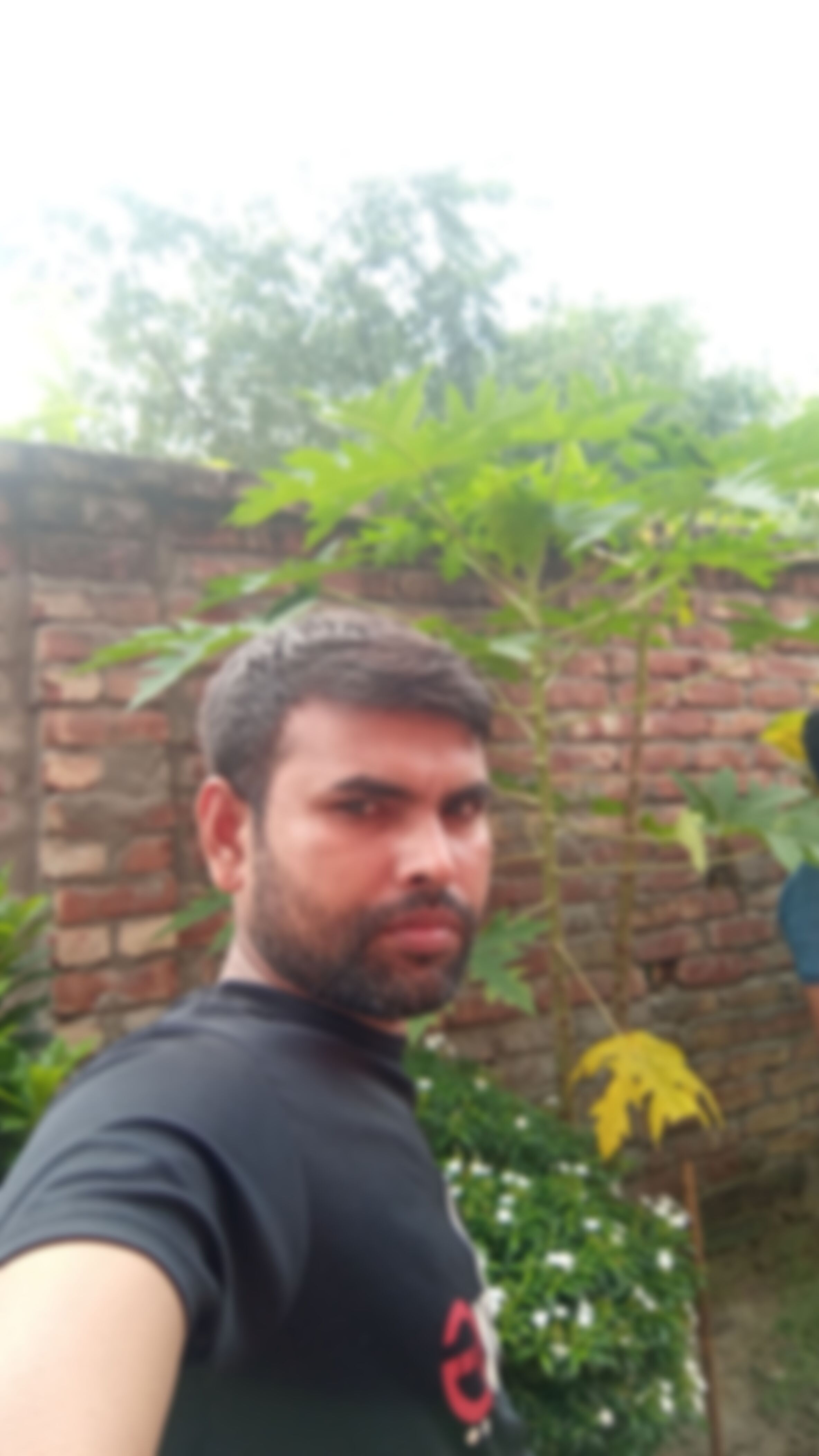 Almas এর ছবি