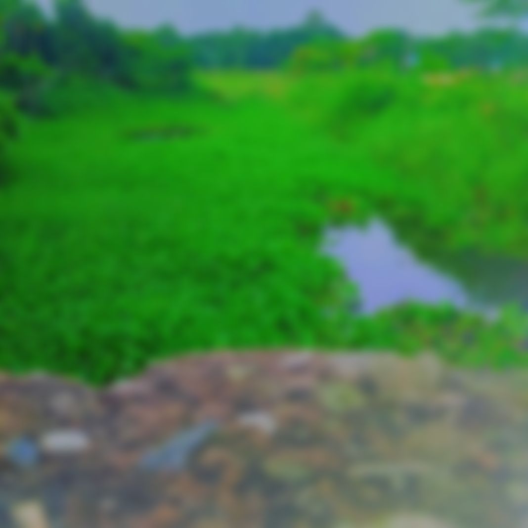 Miraj এর ছবি