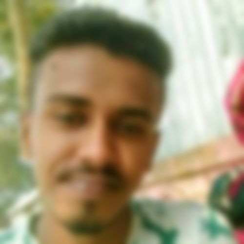 মুজাহিদ মিয়া  এর ছবি