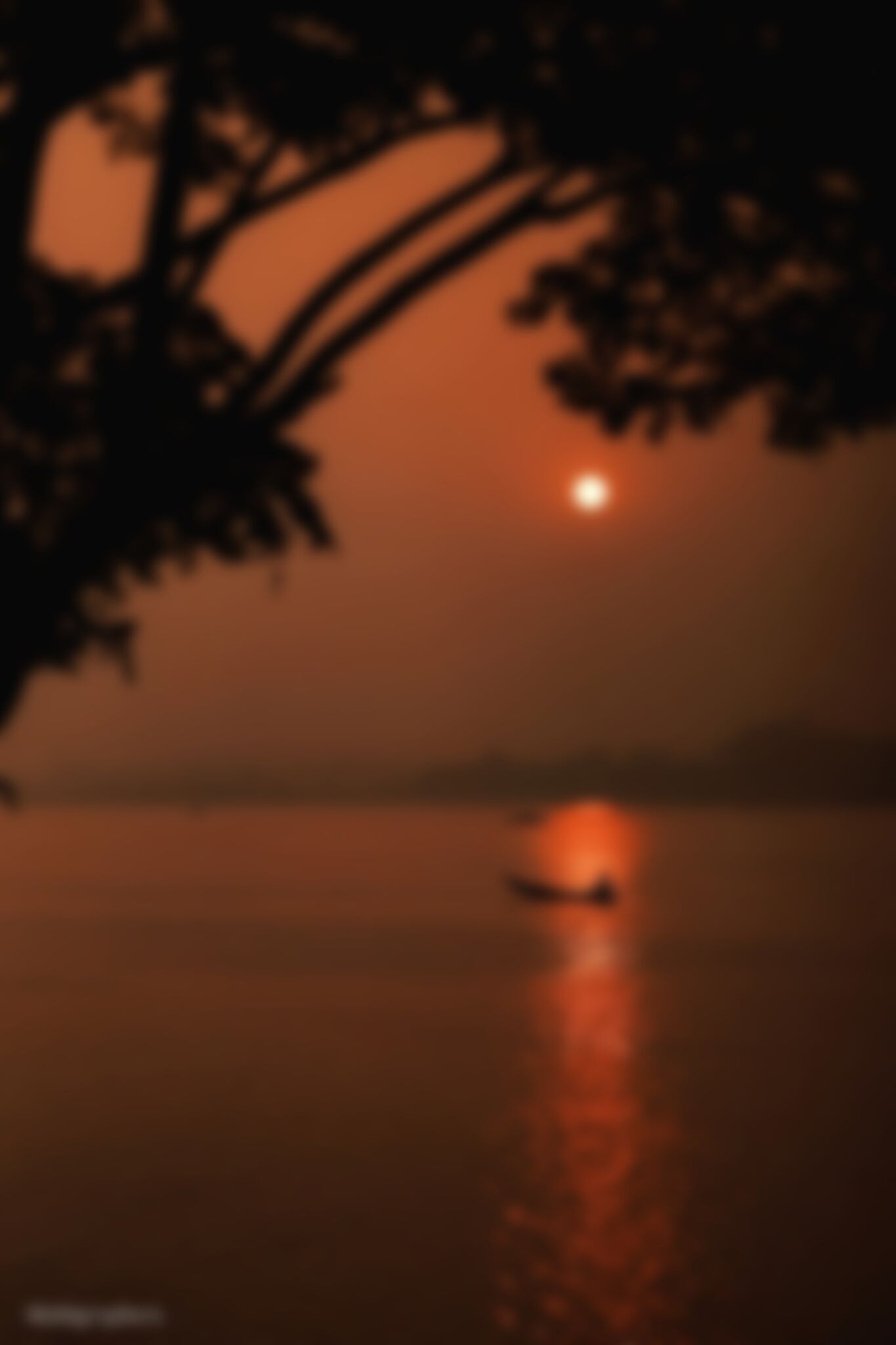  Nirob Mahmud এর ছবি