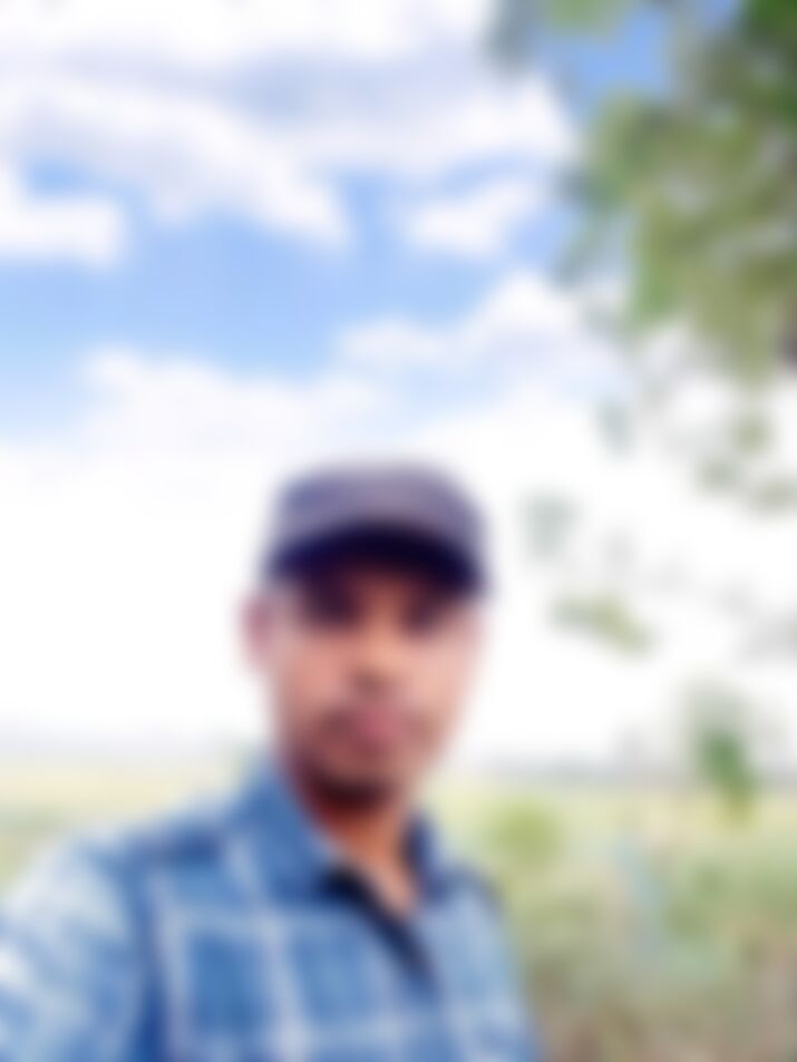 মোঃ মনসুর আলম এর ছবি
