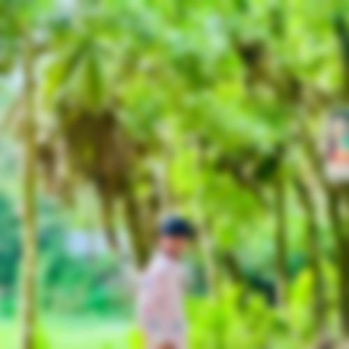মোঃ সিয়াম  এর ছবি
