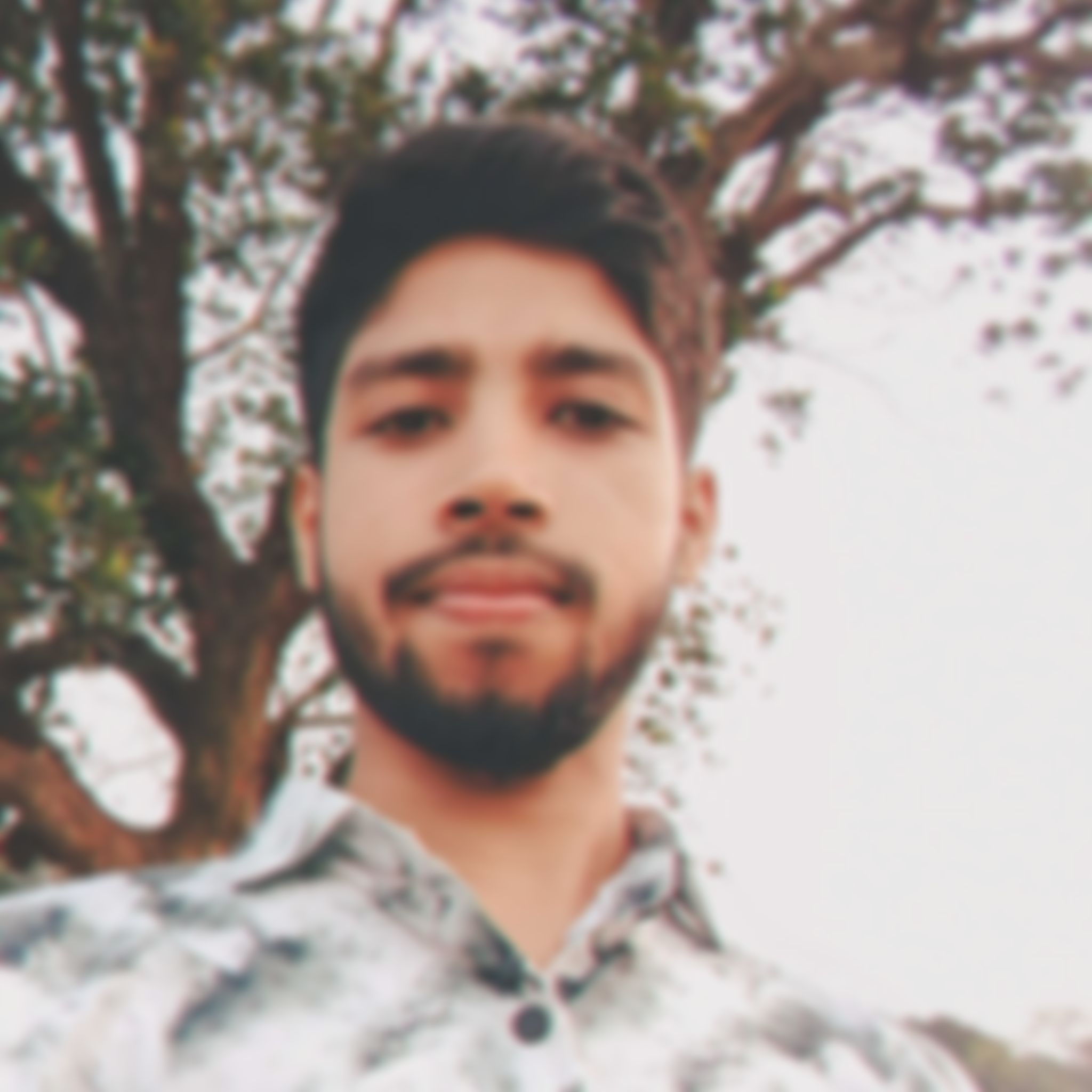 Sajib এর ছবি