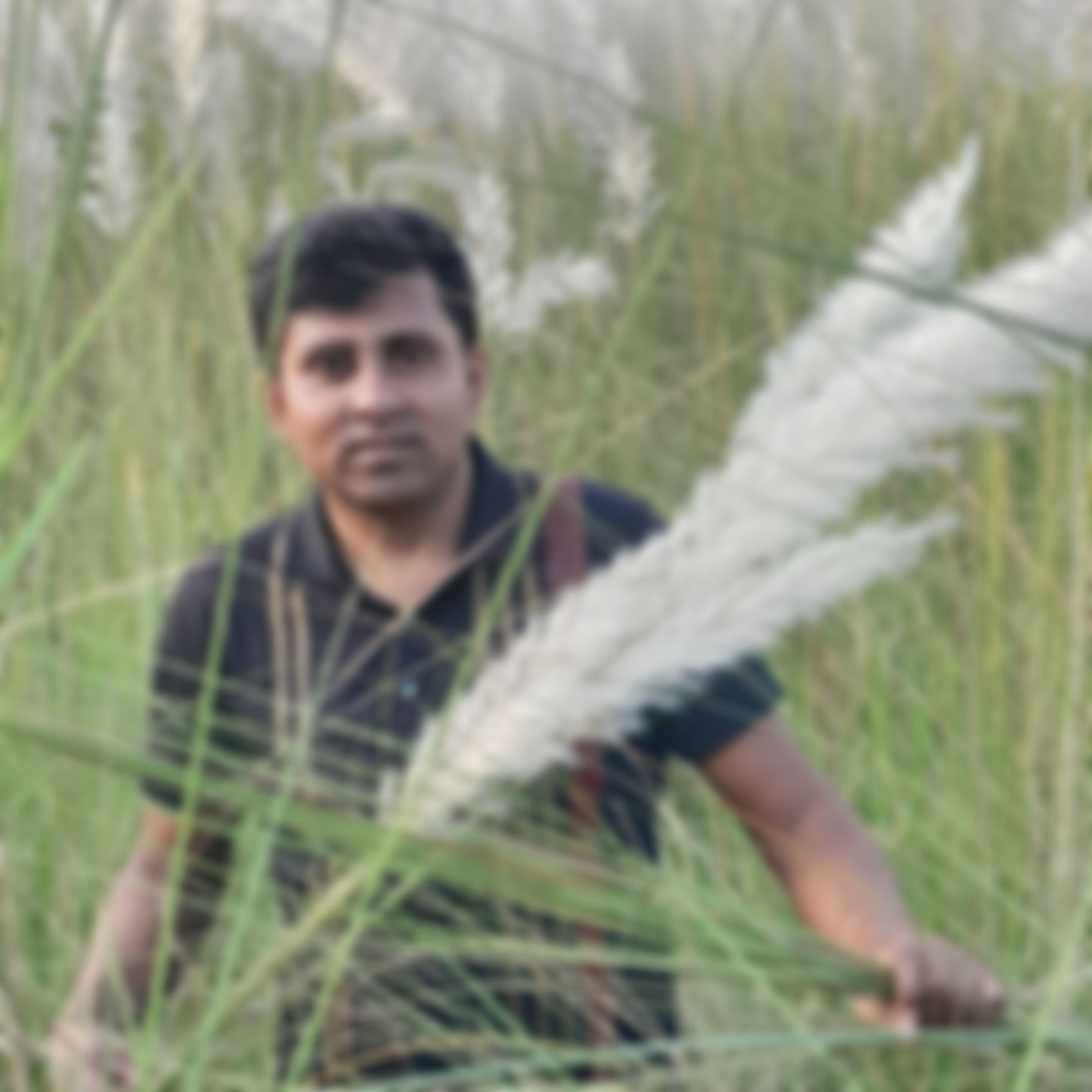 মো: তাশারফ হোসেন  এর ছবি
