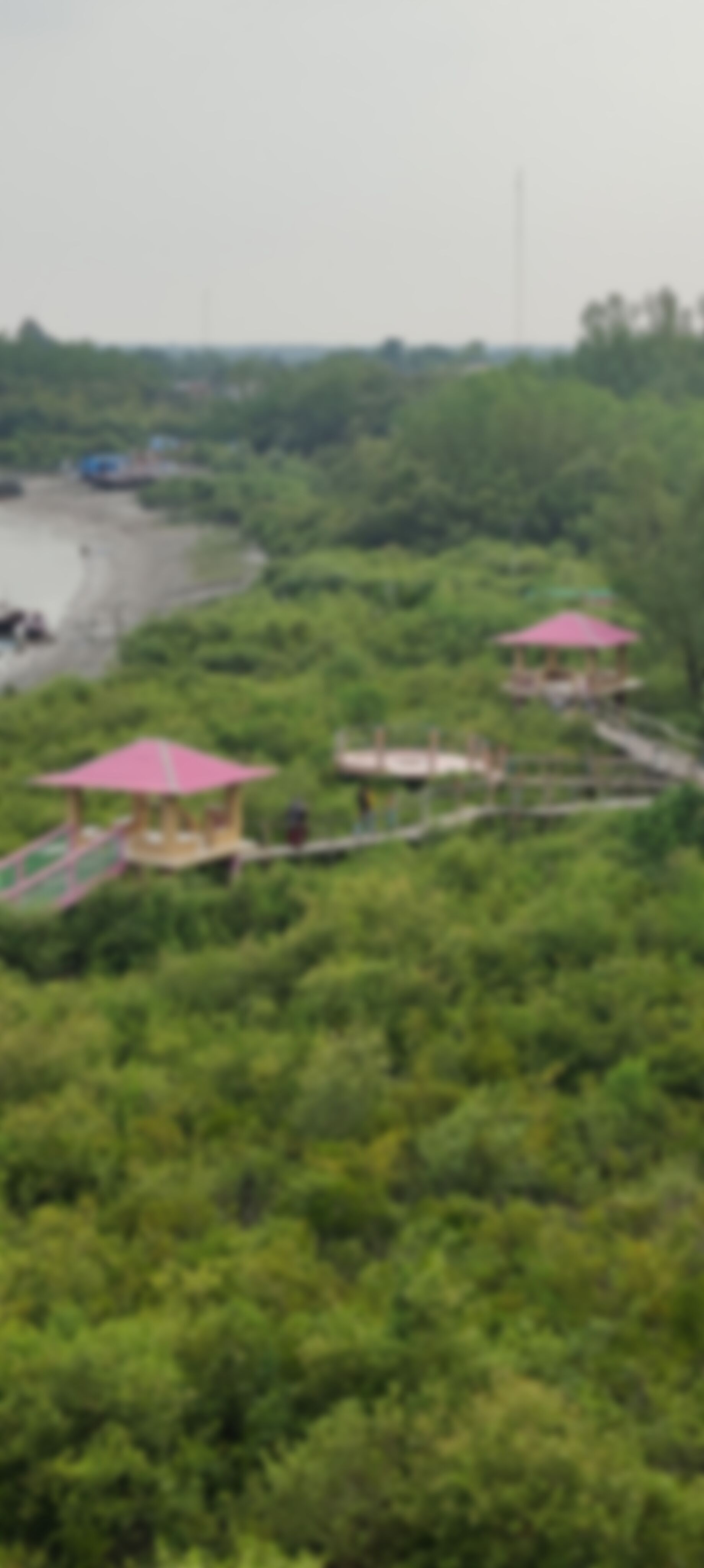 হুসাইন এর ছবি