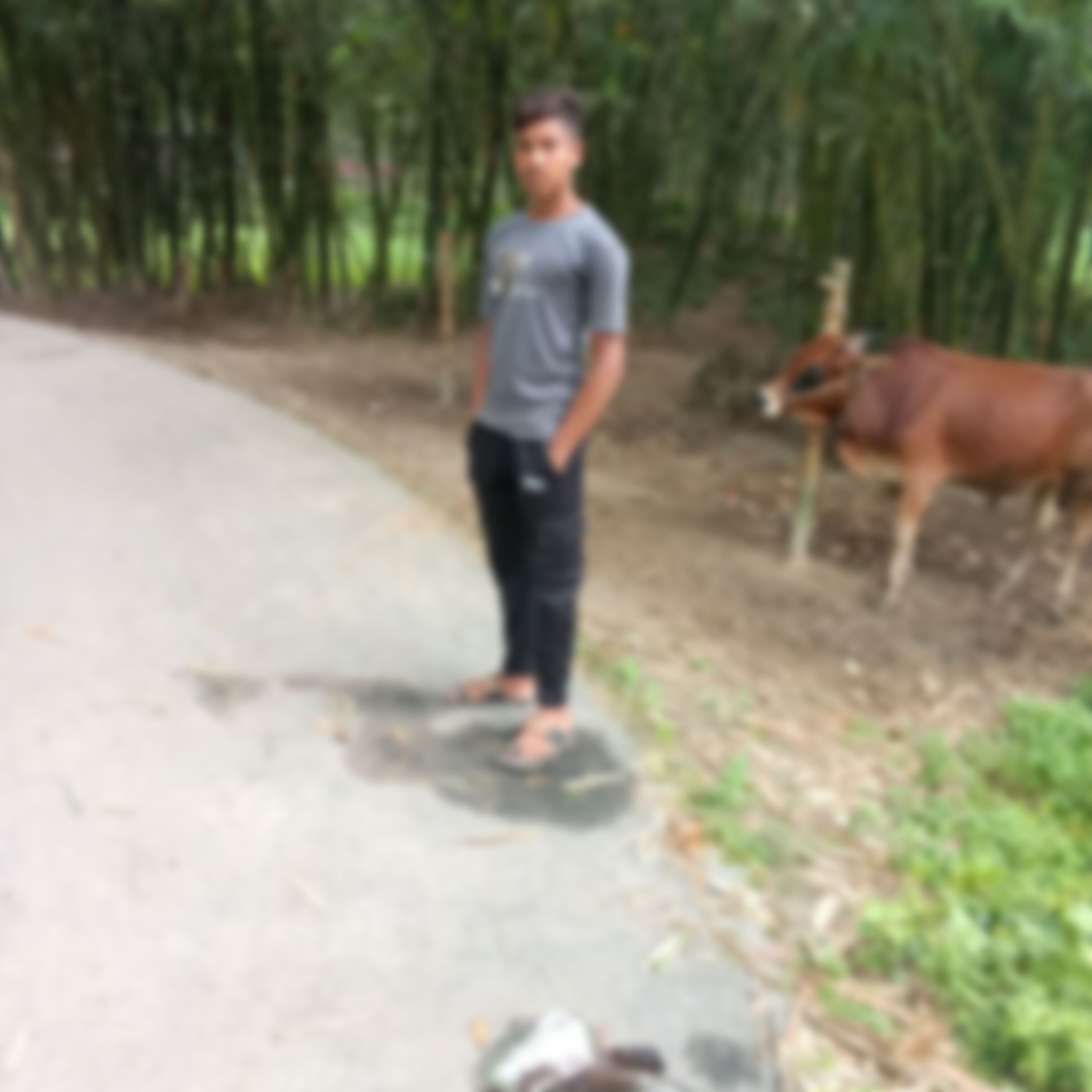 মারুফ ইসলাম এর ছবি