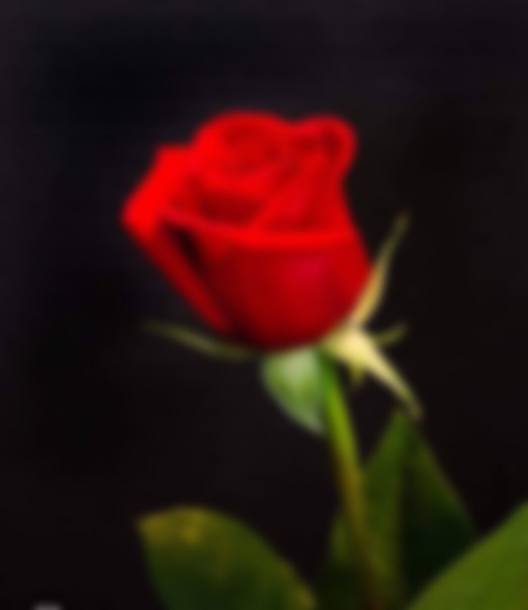 Yasin এর ছবি