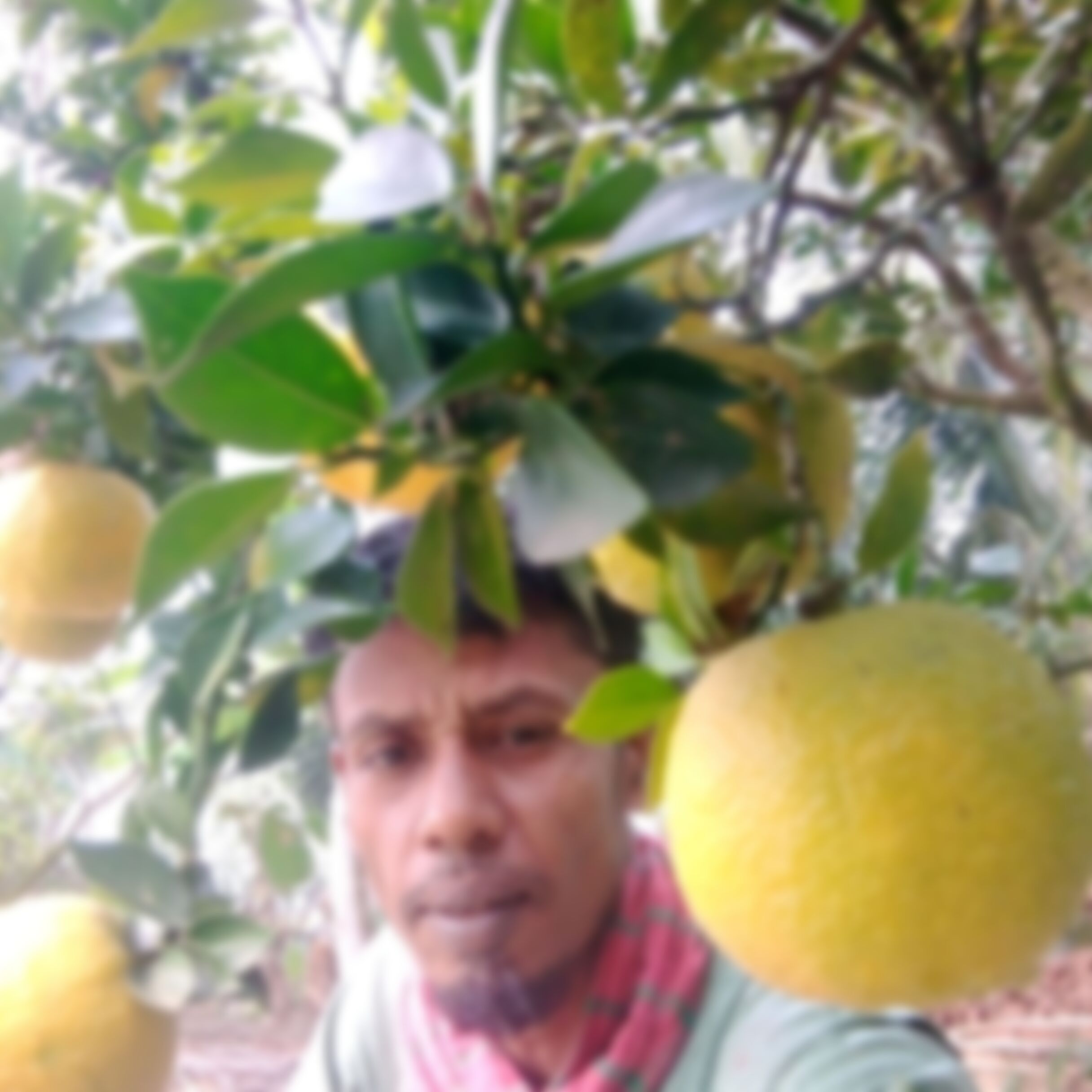 নাসির সেখ এর ছবি