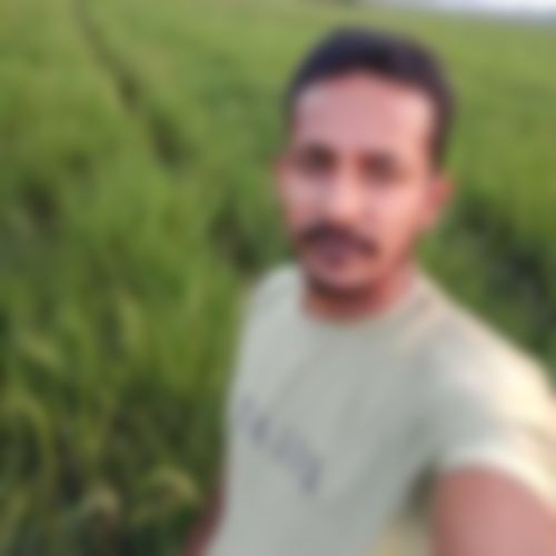 Alamin  এর ছবি