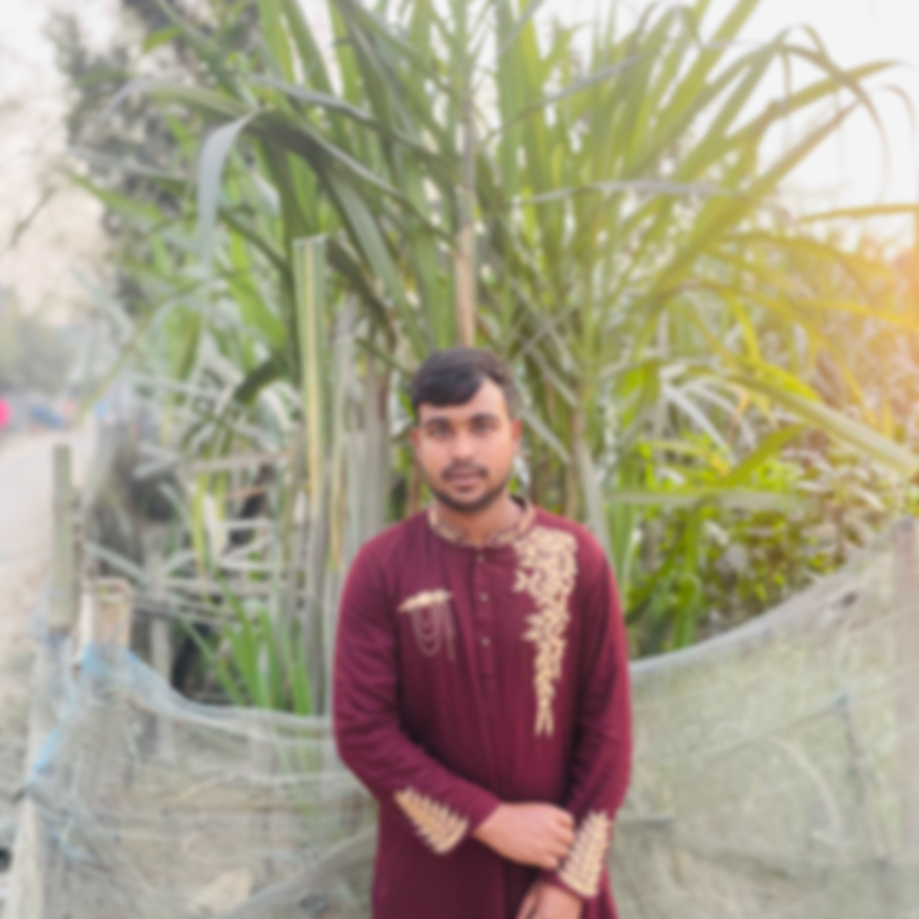 Limon এর ছবি