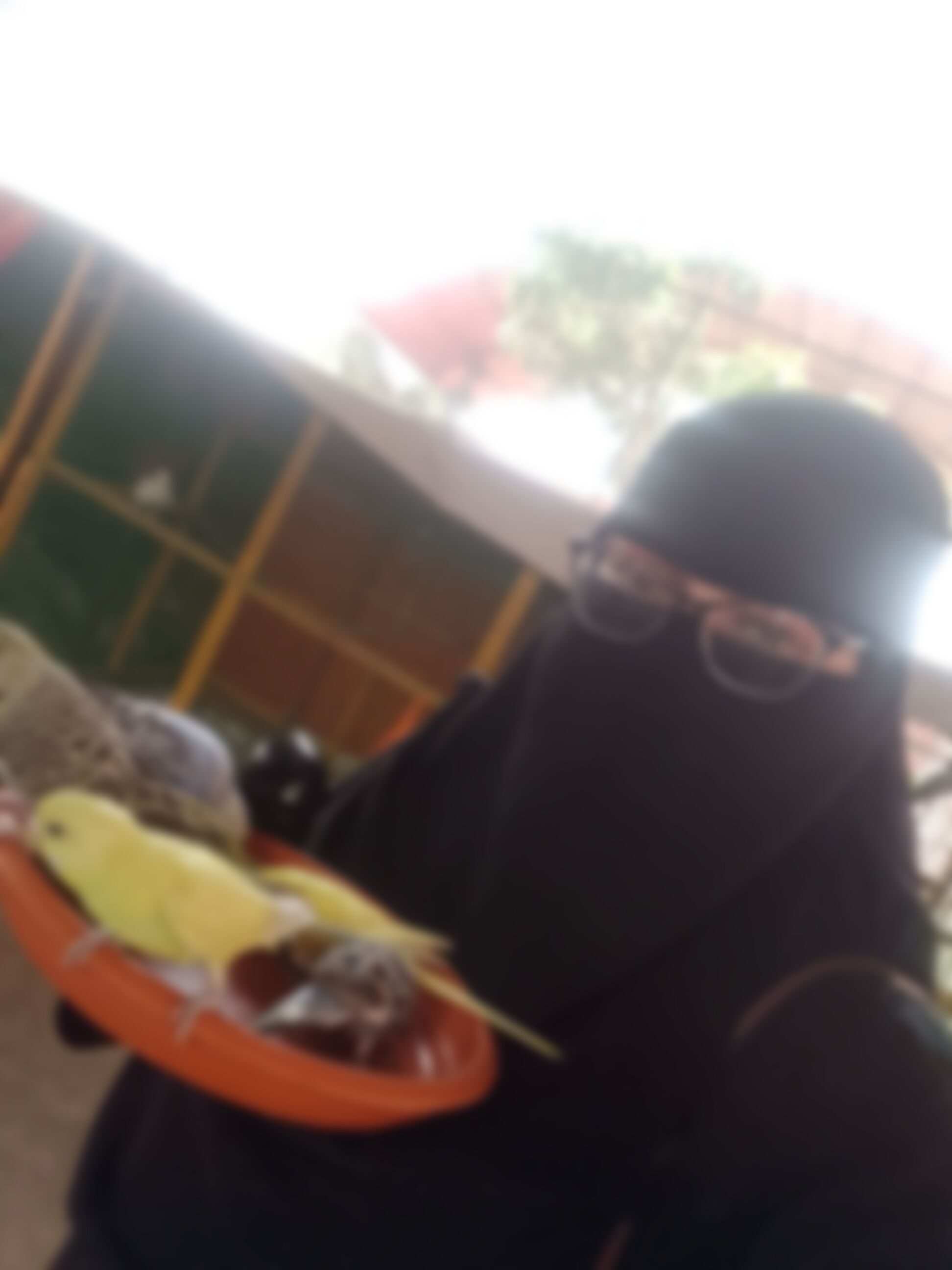 Farjana এর ছবি