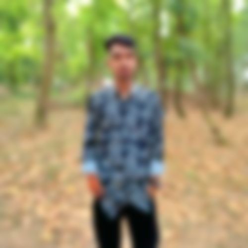 মোঃ শিপন মিয়া  এর ছবি