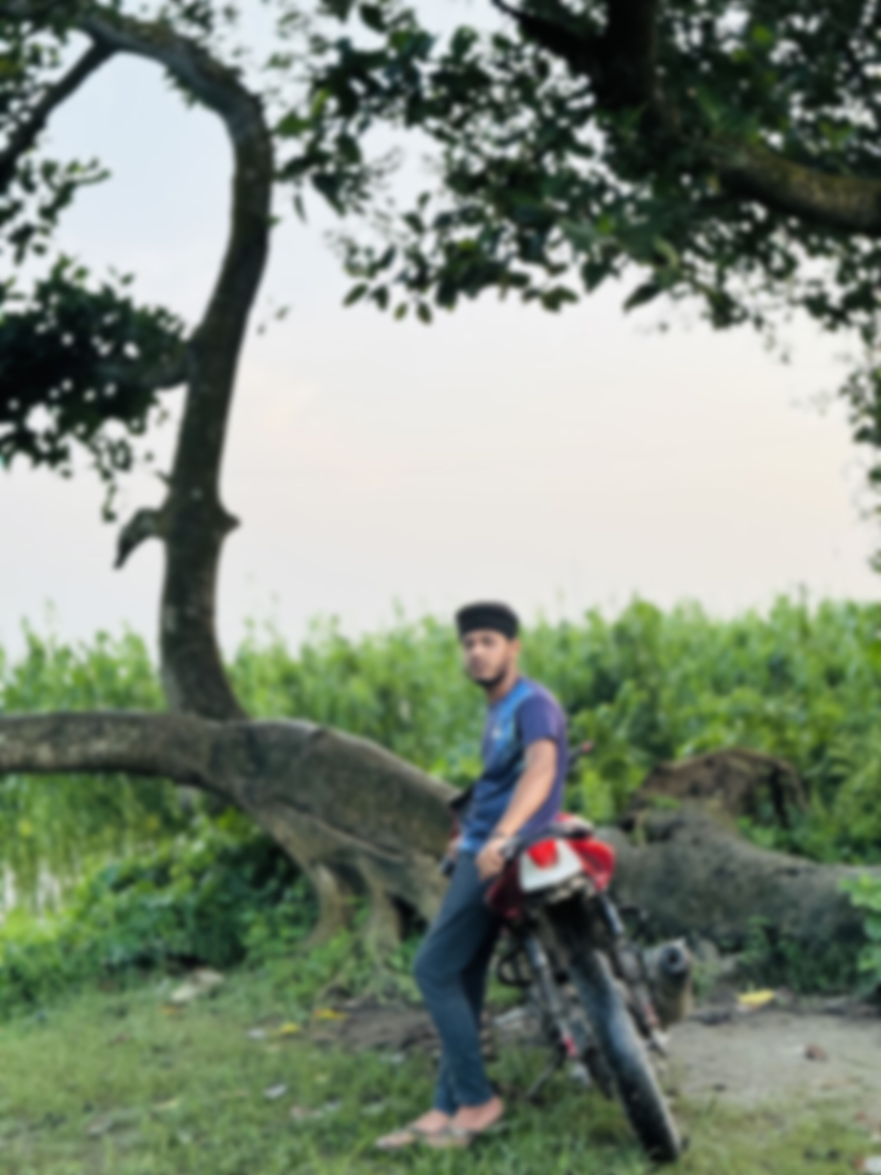 Maruf এর ছবি