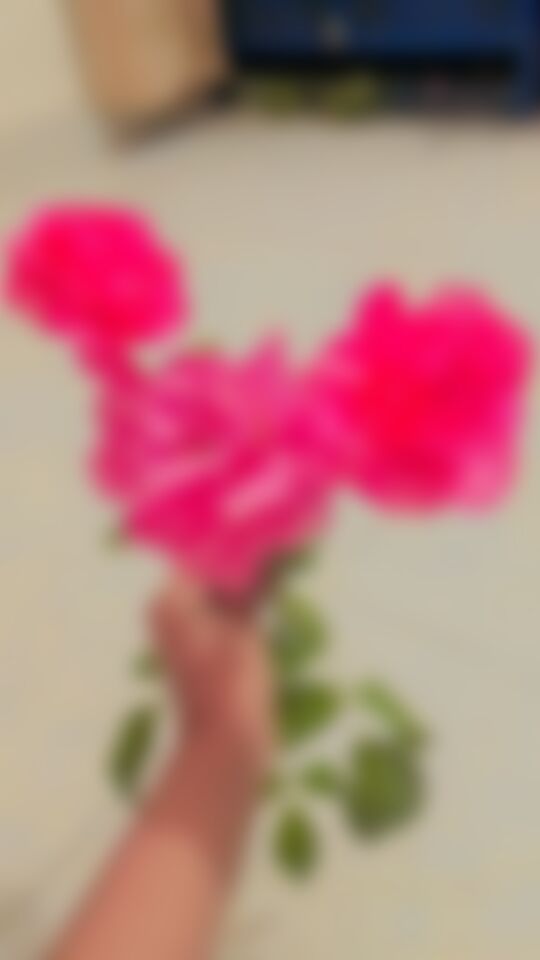 Asdfghjkl এর ছবি