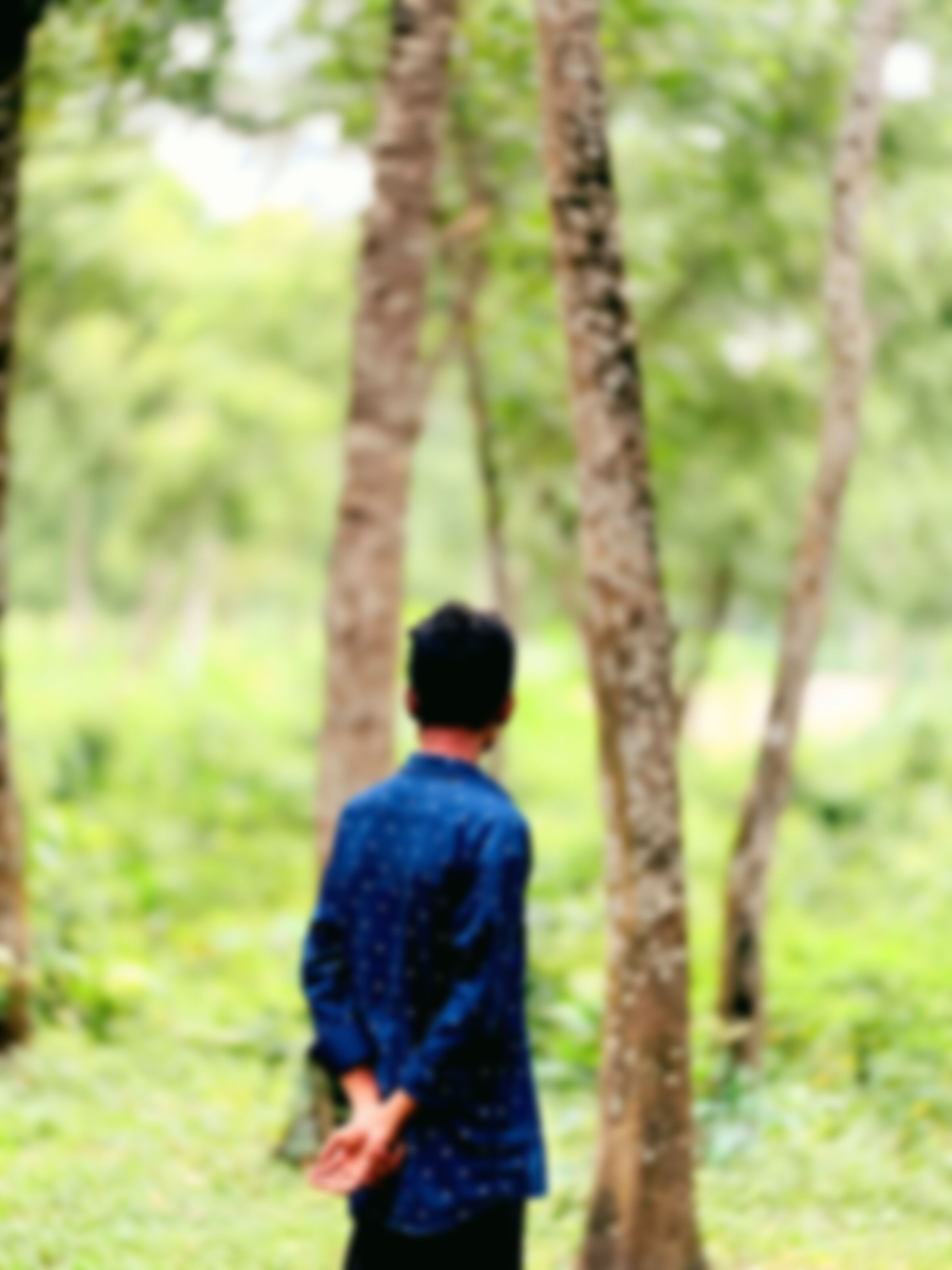 Jahidul  এর ছবি