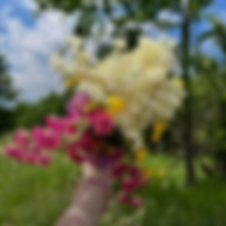 Sadia khatun এর ছবি