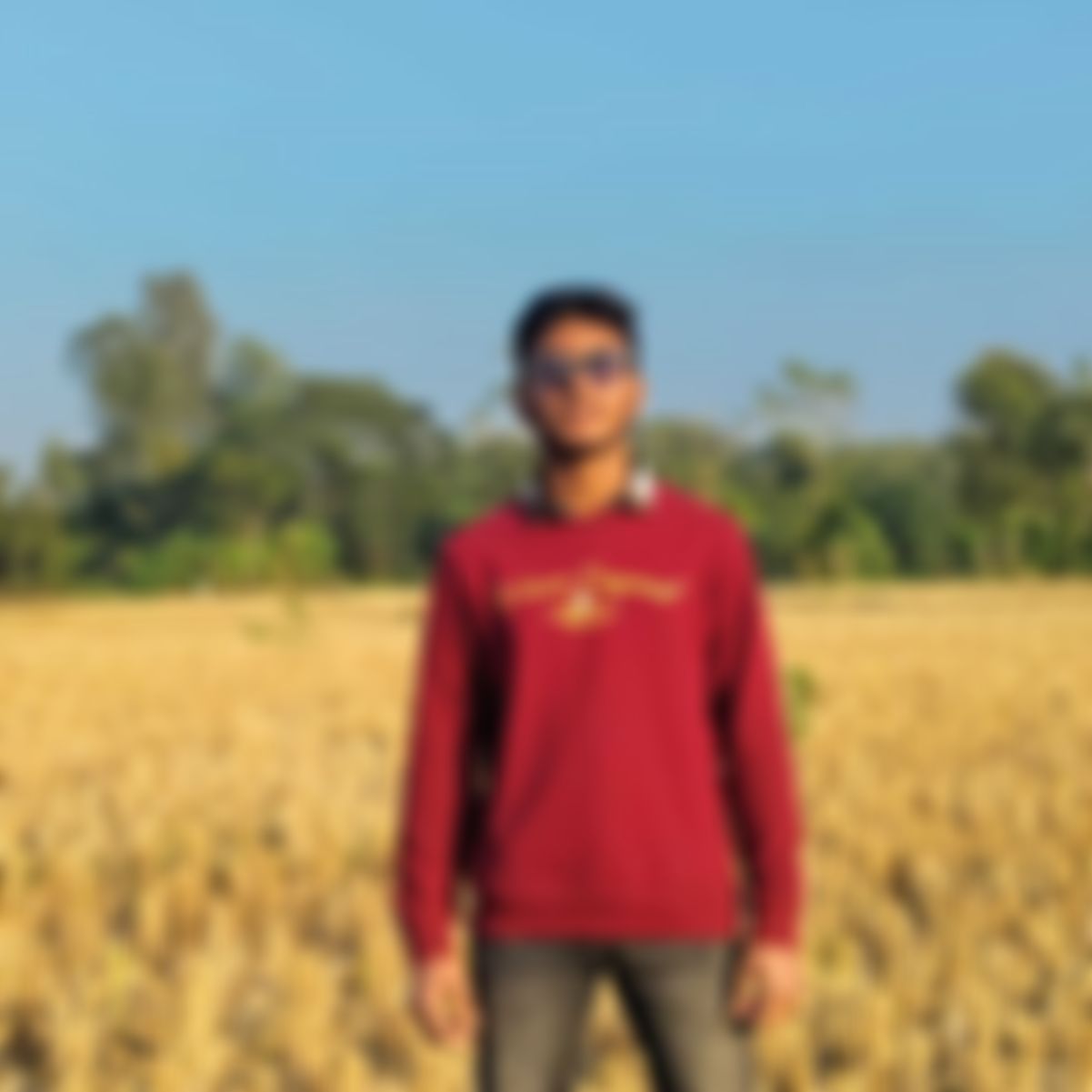সাজ্জাদুল ইসলাম  এর ছবি
