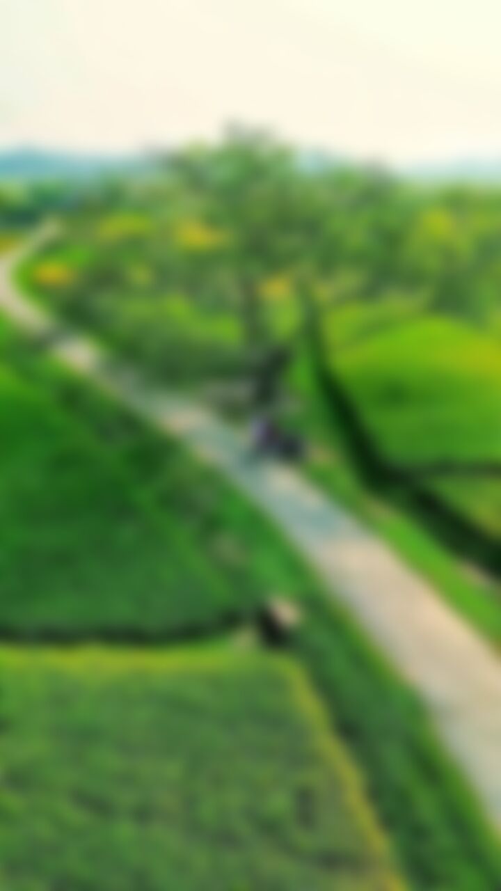 রনি এর ছবি
