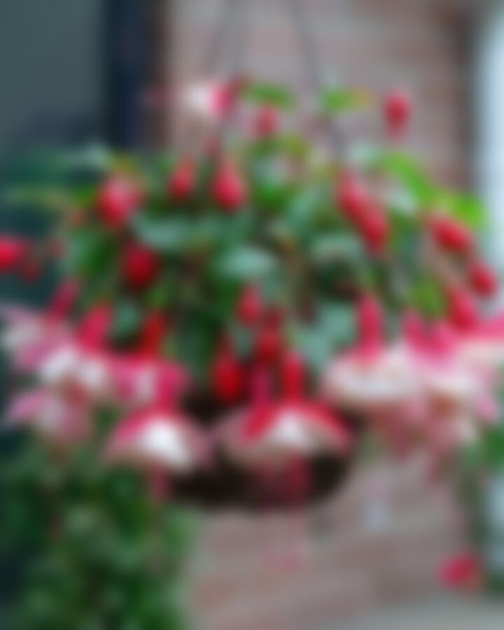 Md Abusahab এর ছবি