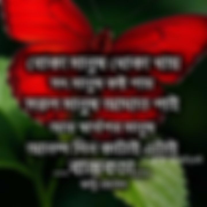 Md selim এর ছবি