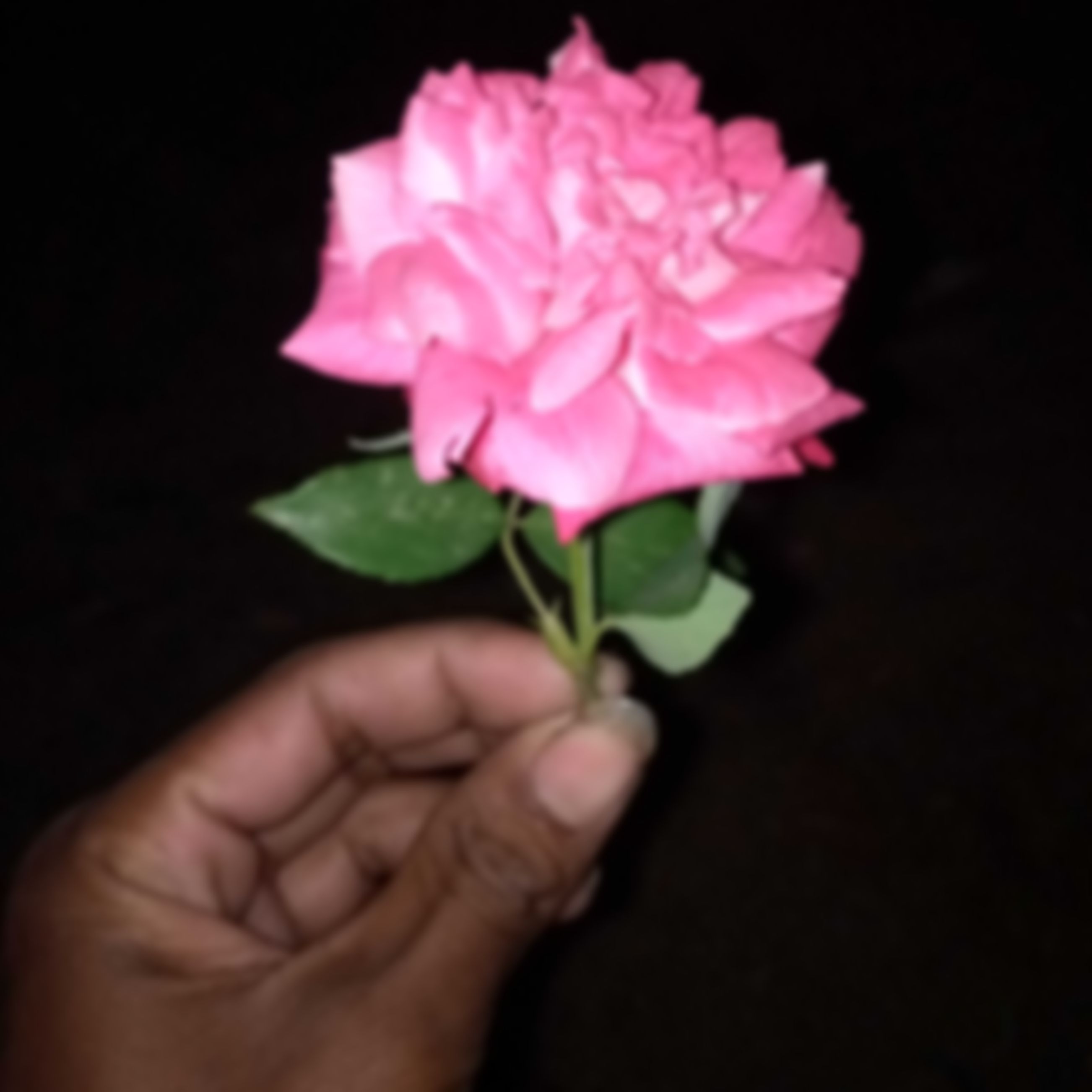 MUNNA  এর ছবি