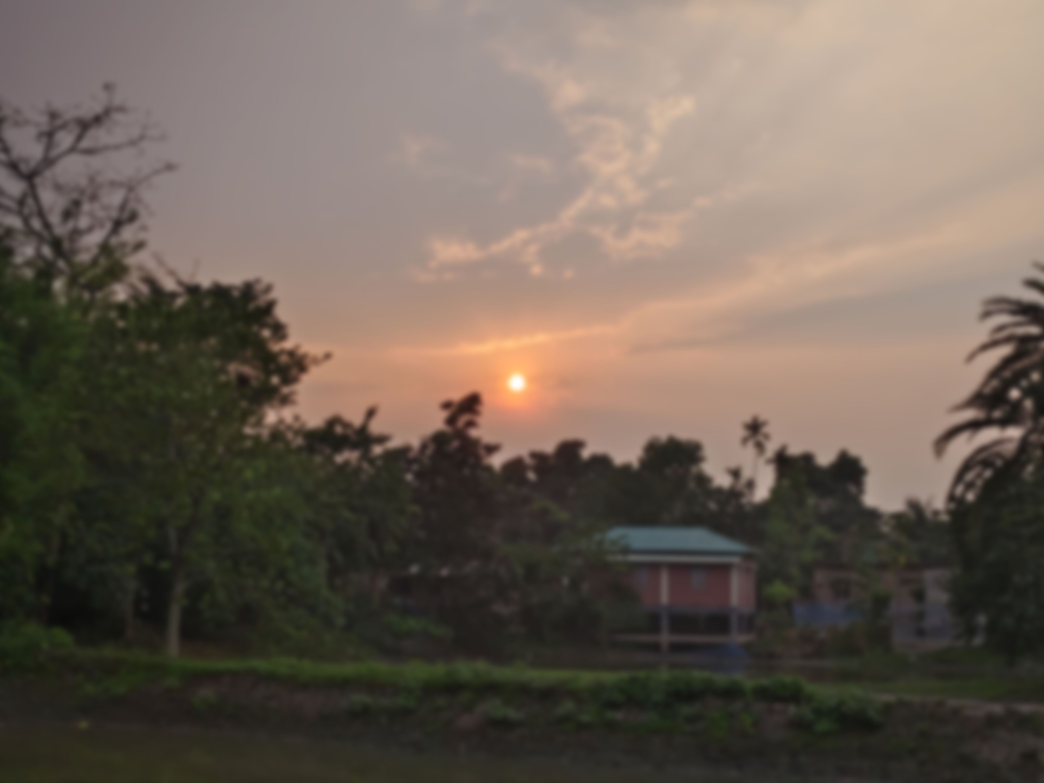 Anvy Chowdhury  এর ছবি