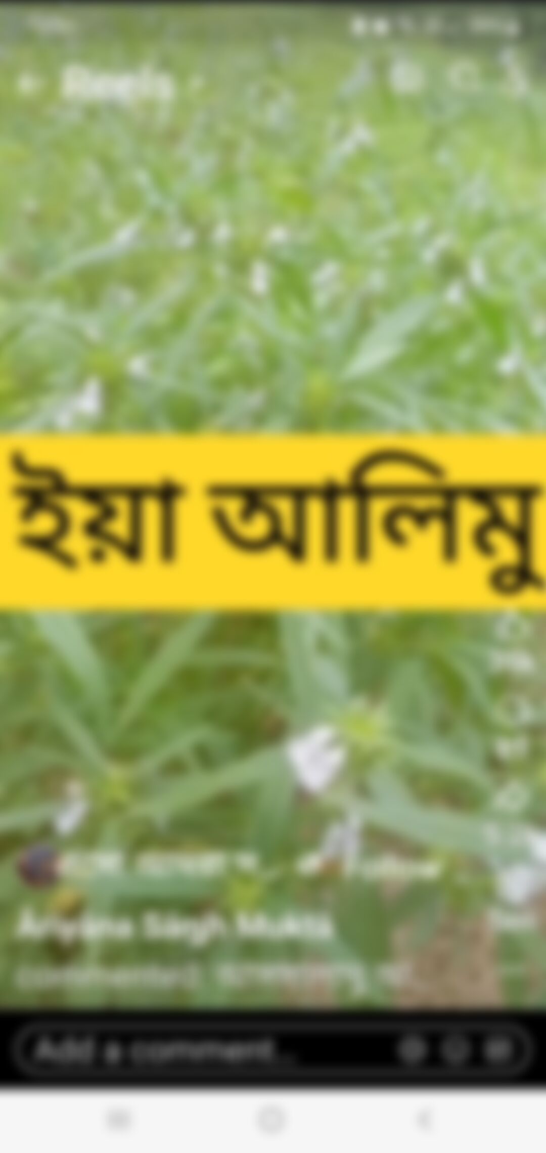 Parvez  এর ছবি